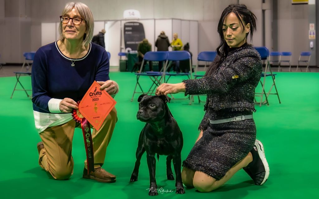 CH. Virtus Et Honor The legendary