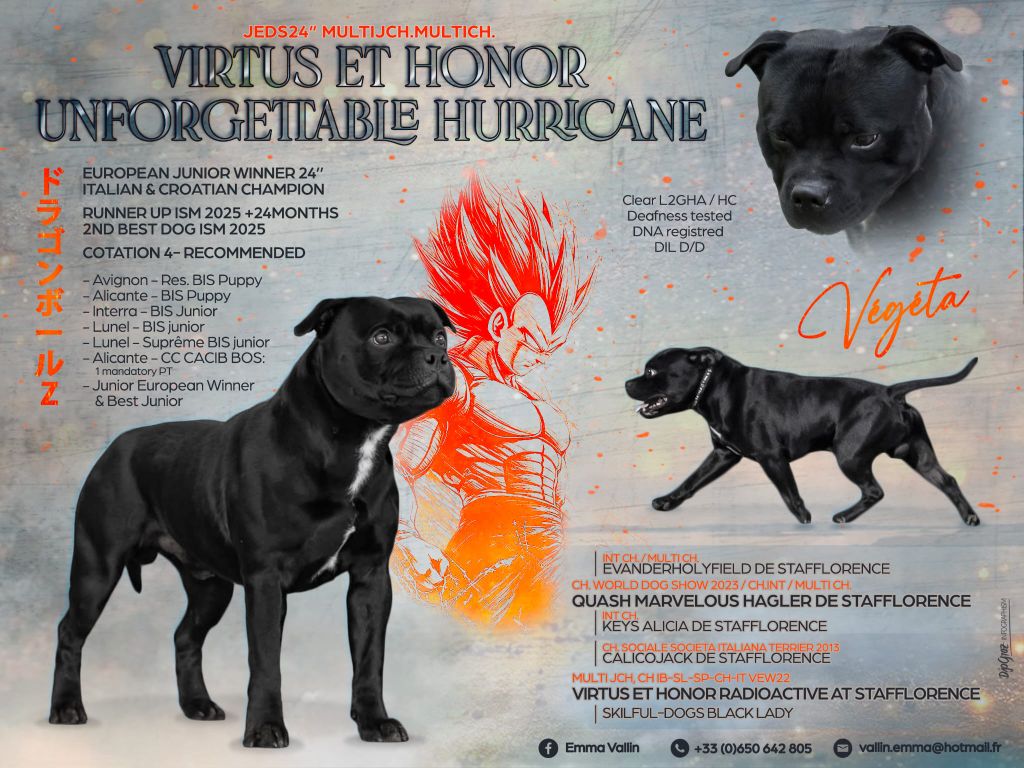 Virtus et honor unfogettable hurricane